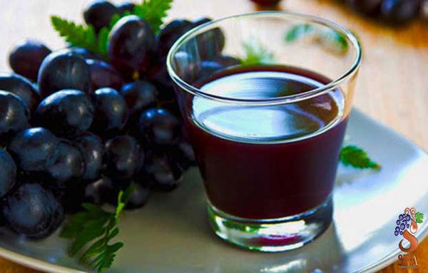 Grape syrup supplier on the market