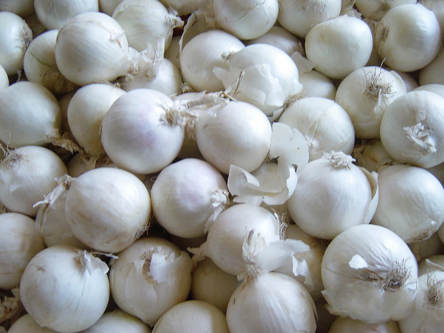 5 Useful Ingredients in White Onion Per Pound that You Must Know