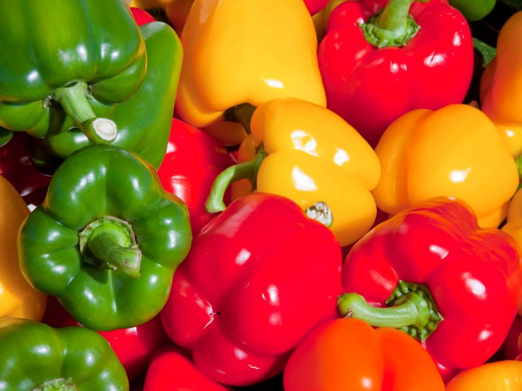 Consuming Capsicum in the Diet increases Bell Pepper in India 